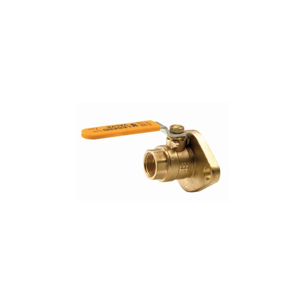1-1/4" T-1002FLG IPS X FLG